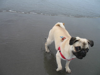 Lucy@the beach